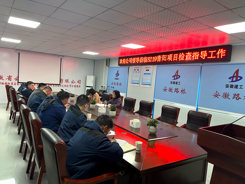 公司黨委委員、紀(jì)委書記王鵬到S219青陽改建項(xiàng)目調(diào)研指導(dǎo)工作